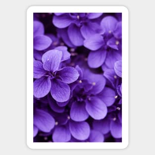 Beautiful Violet Flowers, for all those who love nature #124 Sticker